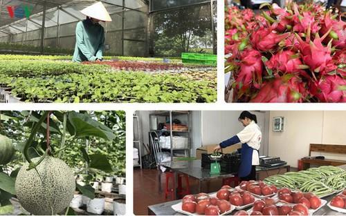 Trung Quốc tăng cường các biện pháp quản lí nguồn gốc thực phẩm - Ảnh 1. Trung Quốc tăng cường các biện pháp quản lí nguồn gốc thực phẩm - Ảnh 1.