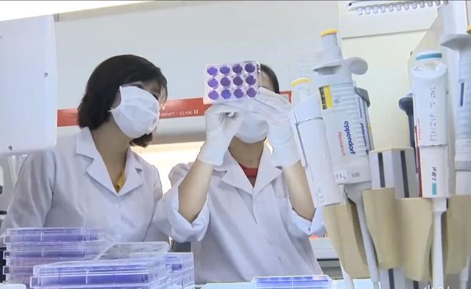 Vắc xin do Việt Nam nghiên cứu đáp ứng miễn dịch phòng COVID-19 - Ảnh 1. Vắc xin do Việt Nam nghiên cứu đáp ứng miễn dịch phòng COVID-19 - Ảnh 1.
