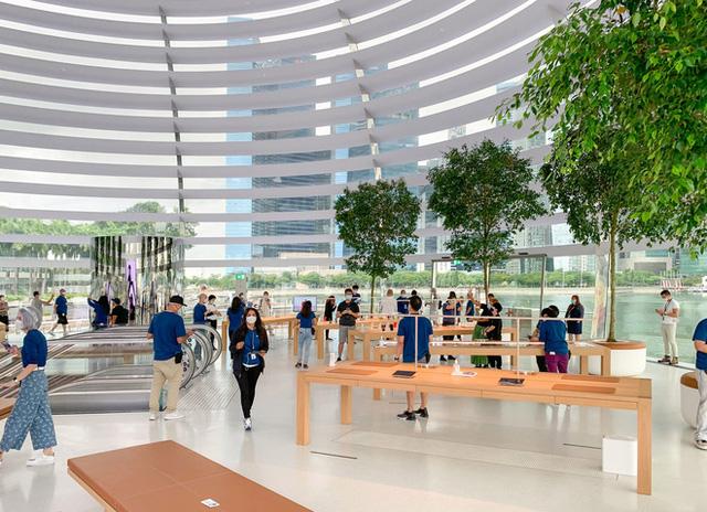 Tham quan Apple Store hình cầu nổi trên mặt nước vừa mới được khai trương tại Singapore - Ảnh 8. Tham quan Apple Store hình cầu nổi trên mặt nước vừa mới được khai trương tại Singapore - Ảnh 8.