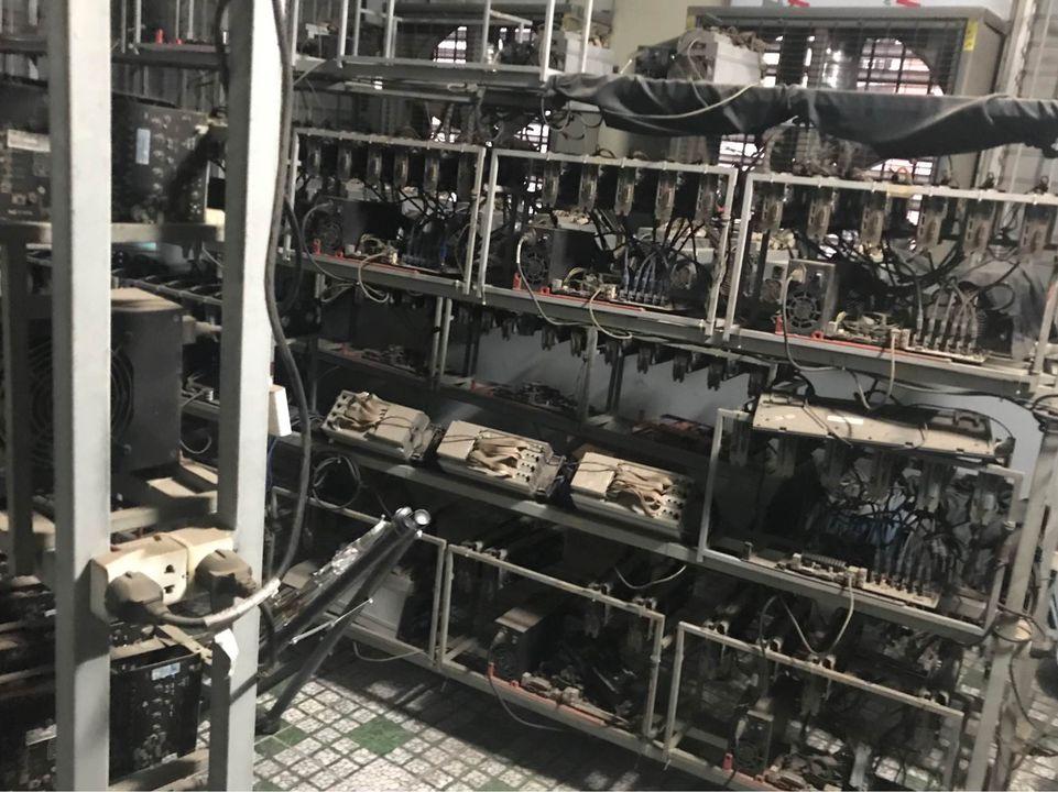Thị trường 'trâu cày' sôi động trở lại cùng với giá tiền ảo - Ảnh 1. Thị trường 'trâu cày' sôi động trở lại cùng với giá tiền ảo - Ảnh 1.