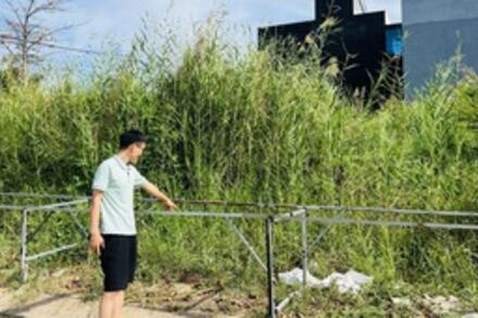 Đất nền tỉnh tăng giá như “lên đồng”