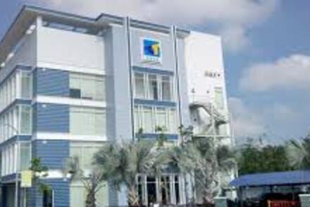 THG chia cổ tức tiền mặt và cổ phiếu tổng 50% năm 2024, lợi nhuận quý I mới đạt 20% kế hoạch