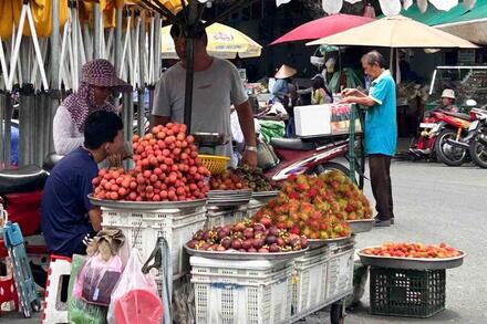 Nhiều loại trái cây đổ bộ TPHCM, giá rẻ bất ngờ