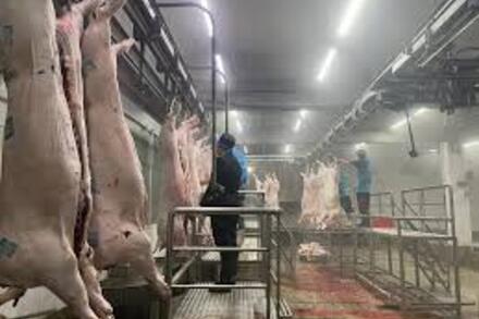40% lượng thịt trên địa bàn Hà Nội chưa được kiểm soát chặt chẽ
