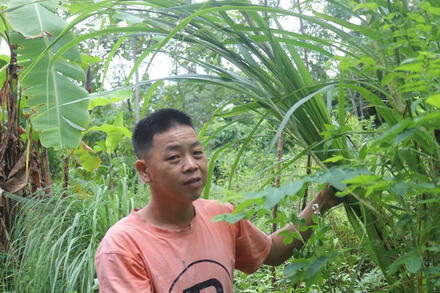 Cuộc sống ấm no ở vùng cao Tuyên Quang nhờ các dự án giảm nghèo