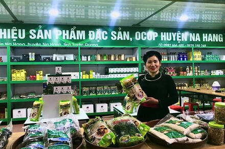 Chuyển đổi số tại Tuyên Quang 'nền móng' vững chắc giảm nghèo bền vững