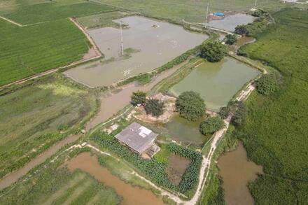 Bất động sản 24h: Bắc Ninh sắp có thêm khu công nghiệp 76ha