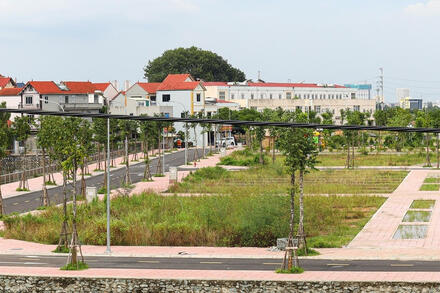 HoREA đề xuất nâng mức xử phạt với người bỏ cọc đấu giá đất