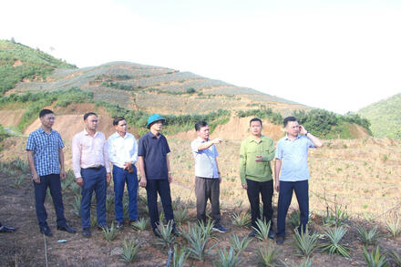 Hiệu quả chính sách dân tộc ở Búng Lao