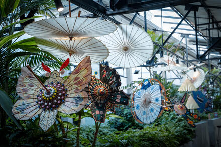 Di sản lọng bướm hồi sinh giữa đời sống đương đại