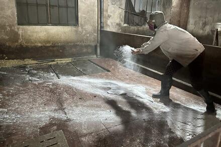 Dịch tả lợn bùng phát, Ninh Bình tăng cường kiểm soát giết mổ dịp cuối năm