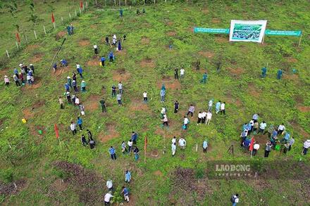 Tập đoàn TH đề xuất xây dựng nhà máy mắc ca quy mô 5 ha ở Điện Biên