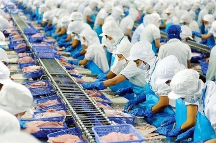 Lý do xuất khẩu thủy sản Việt Nam vượt 11 tỷ USD