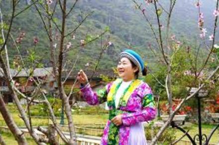 Mùa Xuân bừng sắc trên các bản Mông Phú Thọ ​