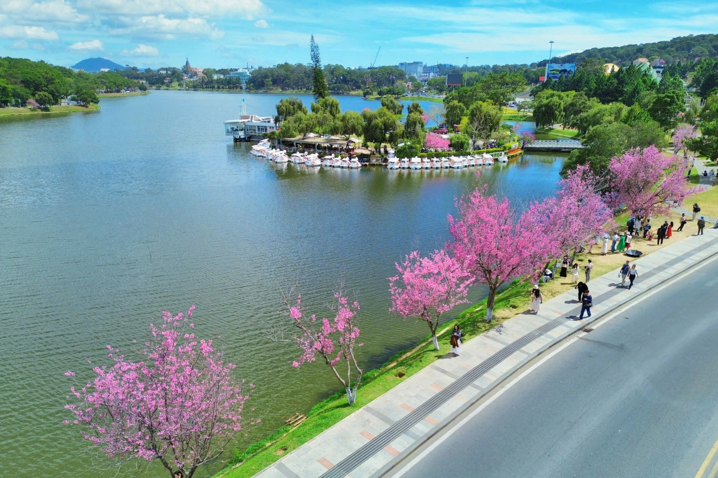 Sân bay Liên Khương tạm đóng cửa 6 tháng: Du khách đến Đà Lạt bằng đường nào?