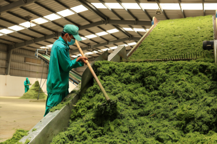 Vinamilk khẳng định vai trò tiên phong chuyển đổi xanh