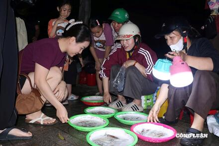 Độc đáo chợ đêm bán con 'nhấp nháy', không cần cân, khách vẫn săn đón