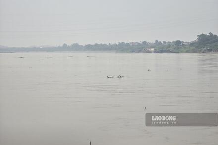 Sông Hồng sẽ có lũ trong tháng 6