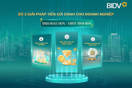BIDV Napas Business - giải pháp thanh toán hiệu quả của doanh nghiệp