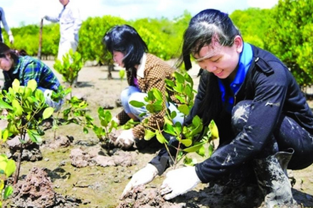 Bộ Chính trị ban hành Chương trình hành động về bảo vệ môi trường và ứng phó biến đổi khí hậu