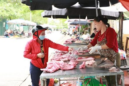 Giá heo hơi hôm nay 5.8: Tiếp tục giảm, thấp nhất là 60.000 đồng/kg