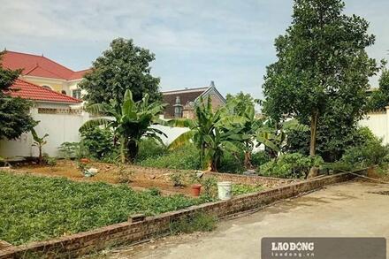 Áp lực thoát hàng gia tăng, đất nền được rao cắt lỗ sâu