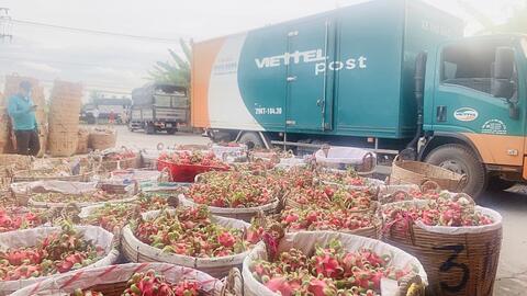Nối liền chuỗi cung ứng nhờ các mô hình bán hàng của doanh nghiệp bưu chính