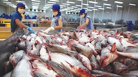 Hạn chế phòng vệ thương mại: Đa dạng hóa sản phẩm và thị trường xuất khẩu