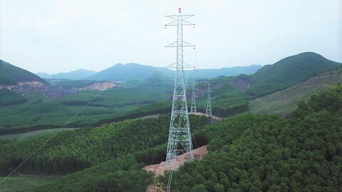 Chuyển mục đích sử dụng rừng phục vụ dự án đường dây 220kV Nậm Mô - Tương Dương