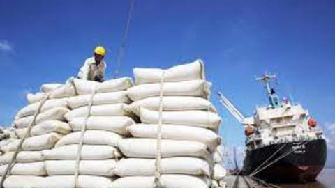 Thị trường xuất khẩu gạo châu Á chững lại trước Tết