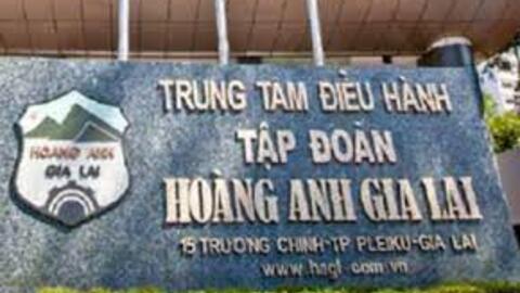Cổ đông HAGL “kêu cứu” trước thông tin HoSE hủy niêm yết cổ phiếu HAG
