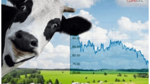 Vinamilk ‘rơi’ khỏi top 10 doanh nghiệp lớn nhất sàn chứng khoán, vốn hóa xuống ngang thời VN-Index 700 điểm