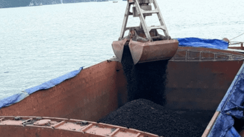 VPG dự kiến phát hành hơn 7,29 triệu cổ phiếu trả cổ tức năm 2021