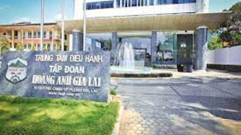 HAGL đã lập công ty riêng cho thương hiệu Heo ăn chuối BAPI: Bầu Đức đang tăng tốc hành trình cung cấp dòng heo sạch với doanh thu mục tiêu 10.000 tỷ