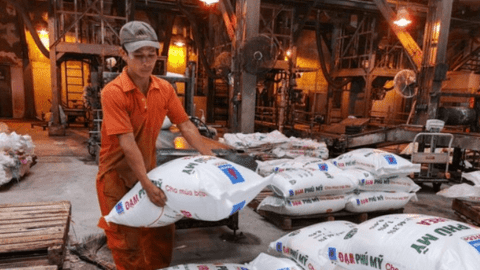 Nhóm quỹ ngoại vừa mua hớ cổ phiếu DPM?