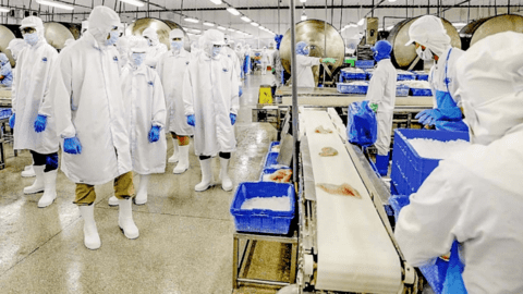 Vĩnh Hoàn (VHC) bán toàn bộ cổ phiếu quỹ, thu lời hàng chục tỷ đồng