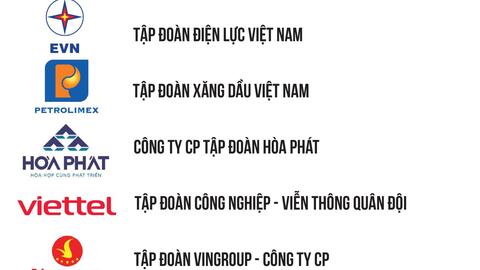EVN đứng thứ 3 trong Top 500 doanh nghiệp lớn nhất Việt Nam năm 2022