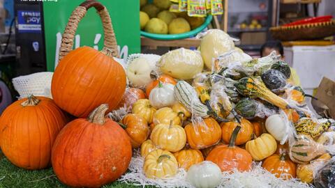 Khách lùng mua trang trí Halloween, bí ngô đủ loại cháy hàng