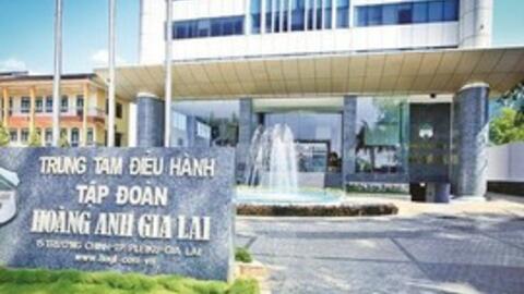 Bất ngờ với nhà đầu tư chi nghìn tỷ mua cổ phiếu Hoàng Anh Gia Lai
