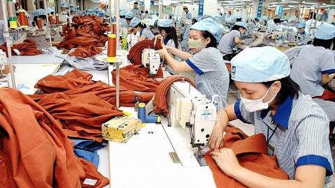 Ký được nhiều hợp đồng xuất khẩu, TNG đem về 524 tỷ đồng doanh thu tiêu thụ tháng 1