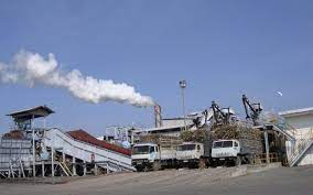 TTC Sugar: Mục tiêu doanh thu 1,5 tỷ USD trong niên độ 2024 - 2025
