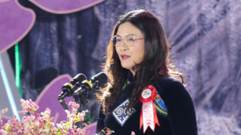 Tuyên Quang tưng bừng khai hội Hoa tam giác mạch năm 2025