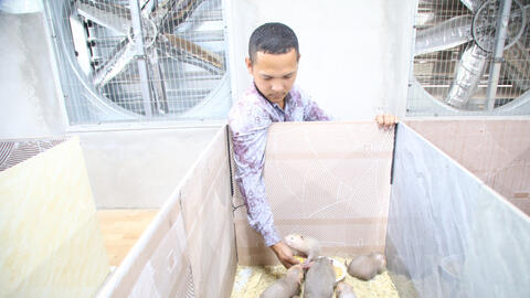 Làm giàu từ những mô hình chăn nuôi hiệu quả