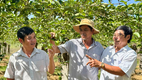 Đòn bẩy sinh kế giúp người dân Lương Sơn vươn lên khá giả