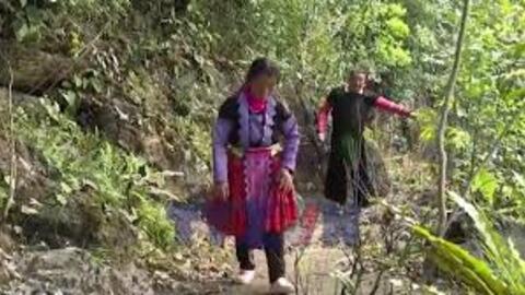 Người Mông Pà Cò giữ rừng để phát triển du lịch bền vững