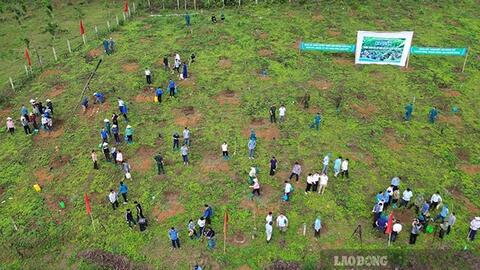 Tập đoàn TH đề xuất xây dựng nhà máy mắc ca quy mô 5 ha ở Điện Biên