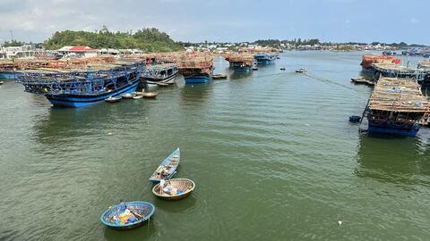 Quảng Ngãi tăng giá mực xà kỷ lục