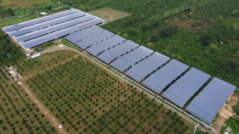 Điện mặt trời mái nhà giúp trang trại giảm mạnh chi phí điện