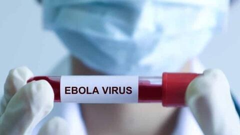 WHO cảnh báo dịch Ebola đang trong tình trạng khẩn cấp y tế toàn cầu