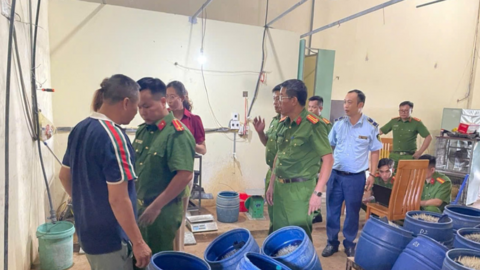 Hải Phòng: Phát hiện cơ sở sản xuất giá đỗ sử dụng chất cấm 6-BAP